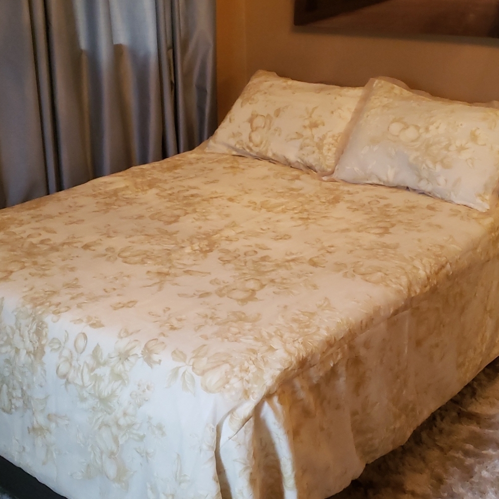 Bombay Company Duvet with Two Shams